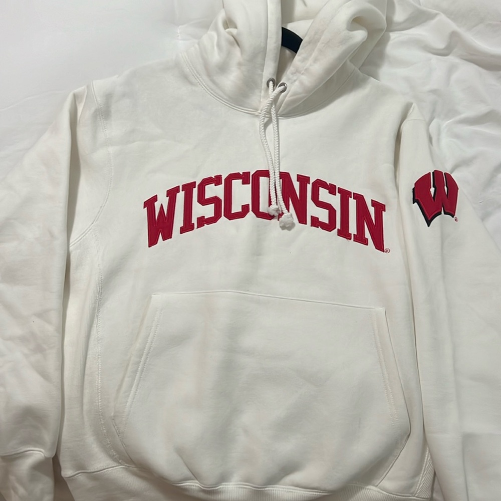 Wisconsin hoodie